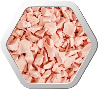 he03 salmon
